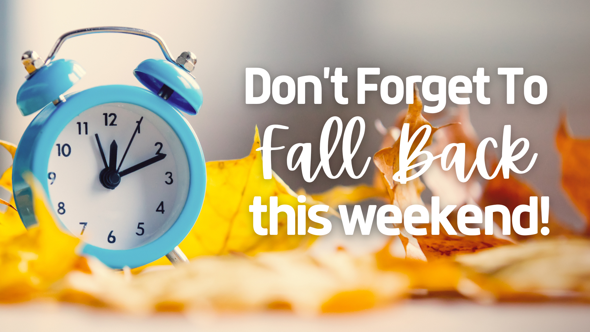 unnamed – 2024-10-31T100806.889